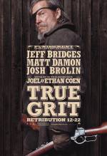 2010_-_true_grit_-_usa_11_hd.jpg